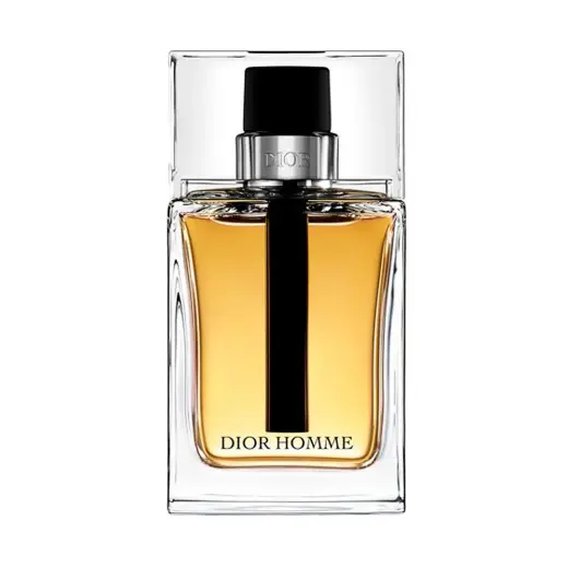Christian Dior Dior Homme (EDT) tualetinis vanduo vyrams 100 ml