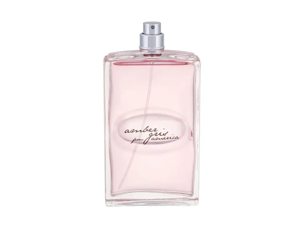 Alviero Martini 1a Classe Amber Gris from America Eau de Cologne 100 ml