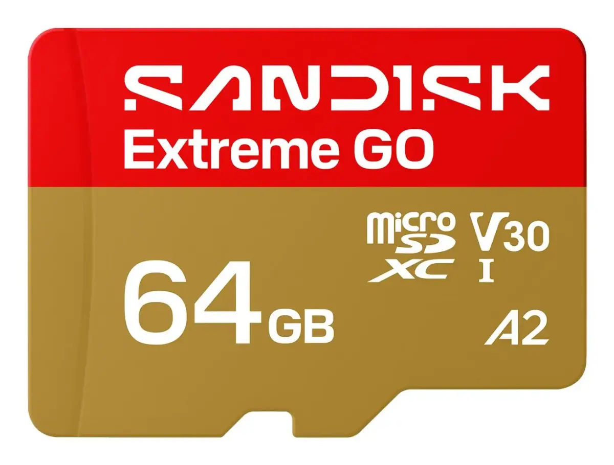 SANDISK Micro SD card Extreme GO