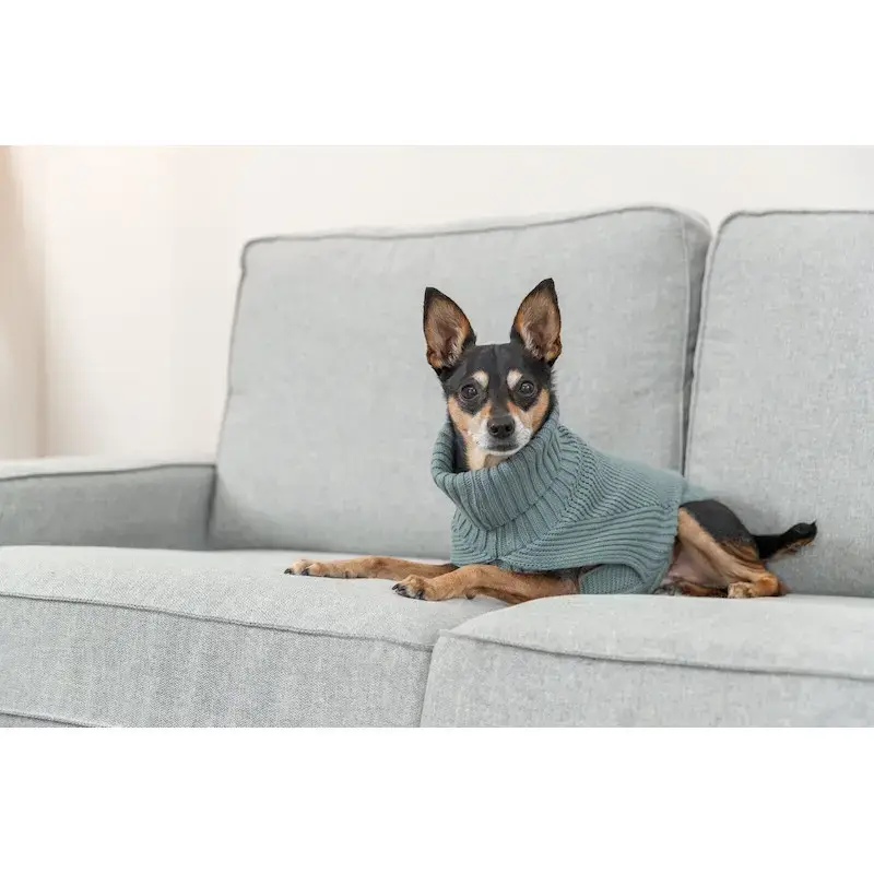 Apģērbs suņiem – Trixie CityStyle Berlin pullover, XS: 30 cm