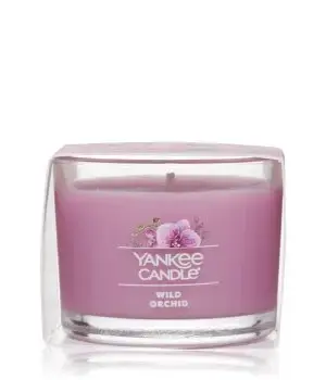 Wild Orchid
