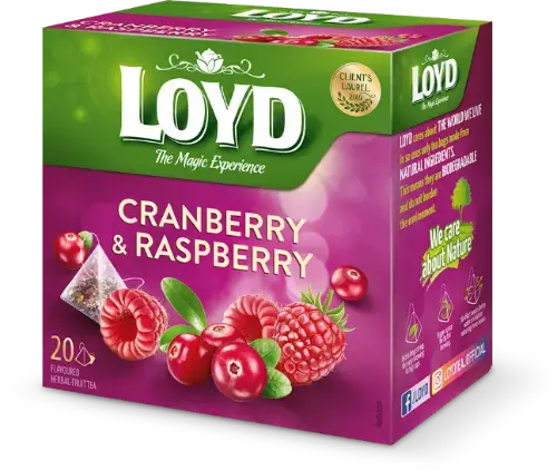 Augļu tēja LOYD Pyramids ar dzērveņu un aveņu garšu, 20x2 g