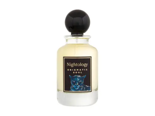 Jesus Del Pozo Nightology Enigmatic Soul Eau de Parfum 100 ml