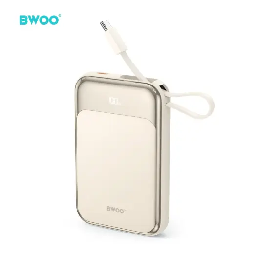 BWOO PD 20W 10000 mAh Power Bank With Usb-C Cable and Display P80 gold