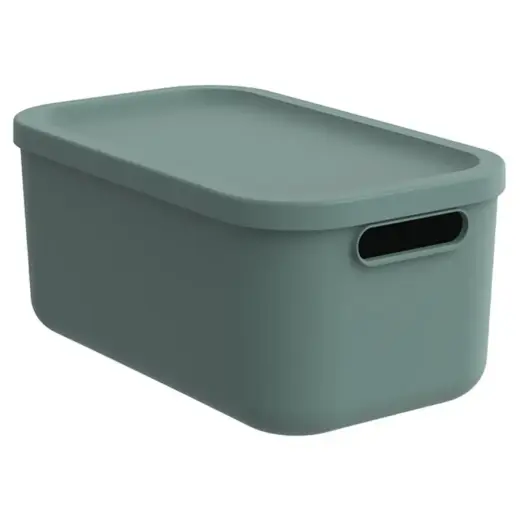 Storage box Albula 12L with lid, green