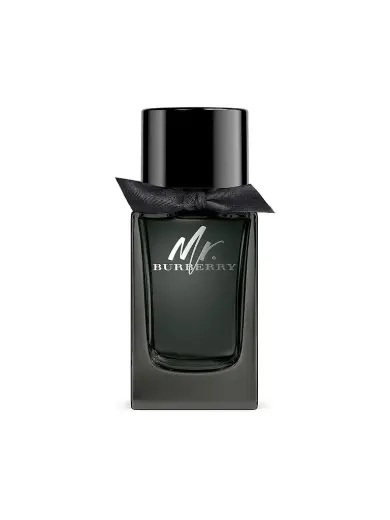 Burberry Mr. Burberry (EDP) Eau de Parfum for Men 100 ml