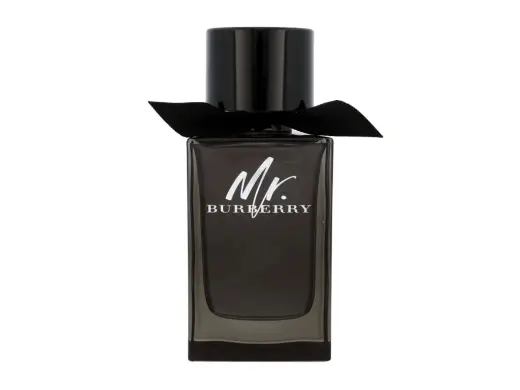 Burberry Mr. Burberry Eau de Parfum 150 ml