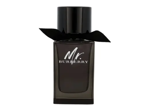 Burberry Mr. Burberry Eau de Parfum 100 ml