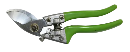 Dārza šķēres
