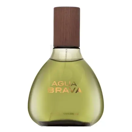 Antonio Puig Agua Brava Ķelne vīriešiem 100 ml