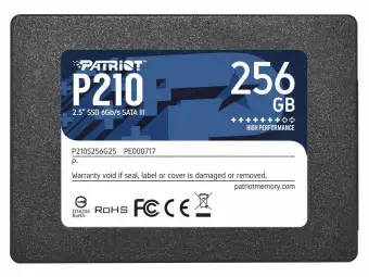 Patriot P210 256GB