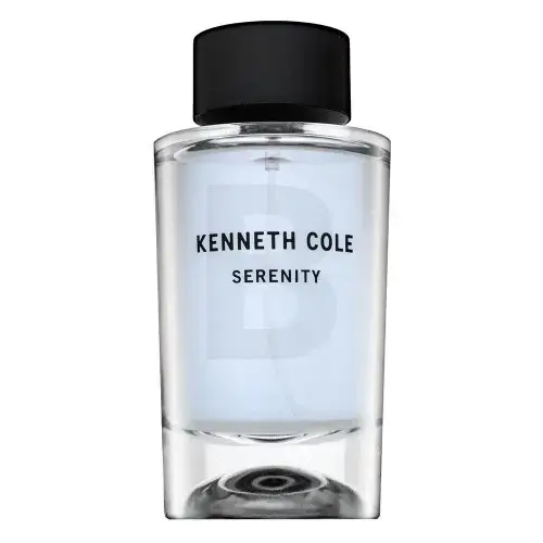 Kenneth Cole Serenity Туалетная вода для мужчин 100 мл