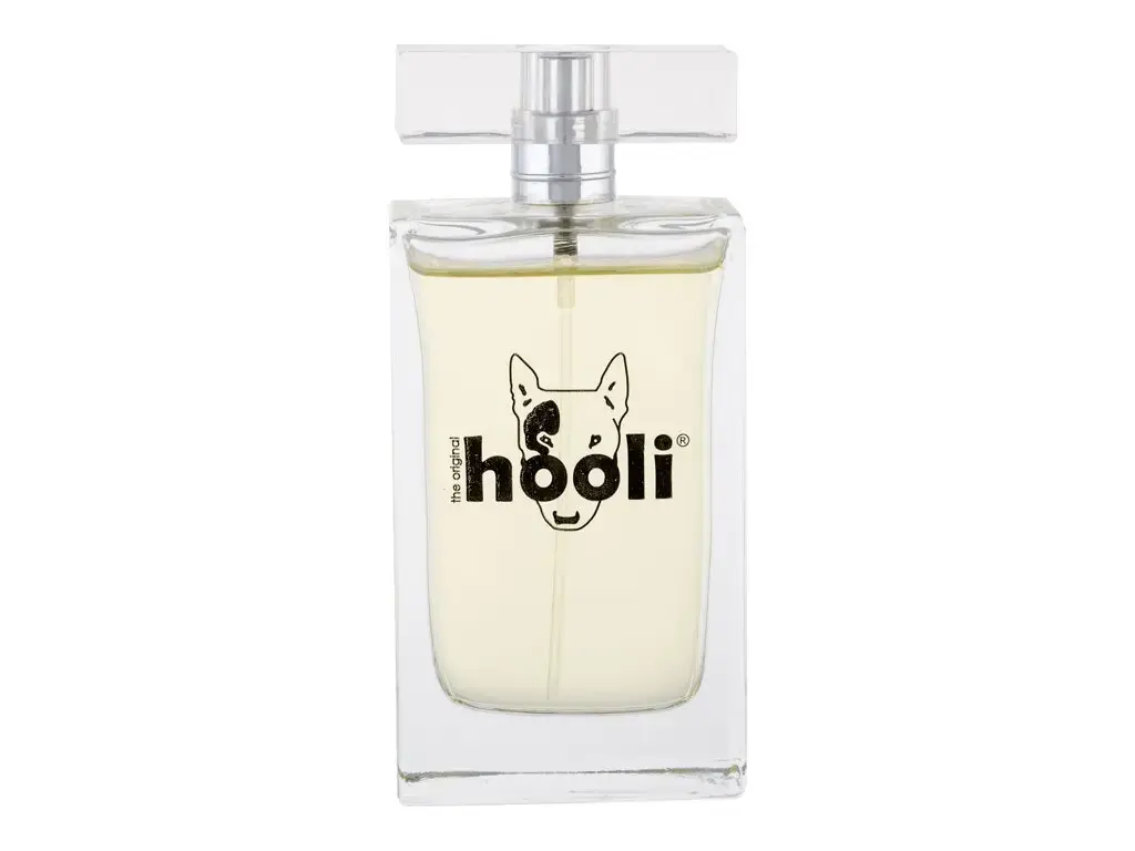 Parfum Collection The Original Hooli Eau de Toilette 100 ml