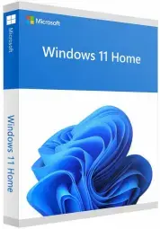 Microsoft Windows 11 Home ENG Intl USB FPP Retail