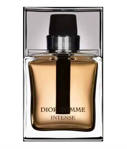 Christian Dior Dior Homme Intense (EDP) parfumuotas vanduo vyrams 100 ml