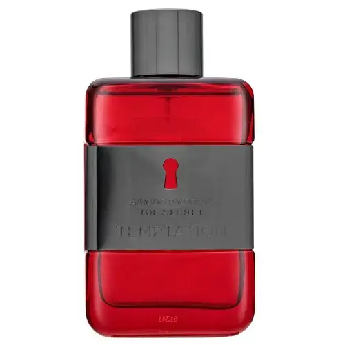 Antonio Banderas The Secret Temptation Eau de Toilette for men 100 ml