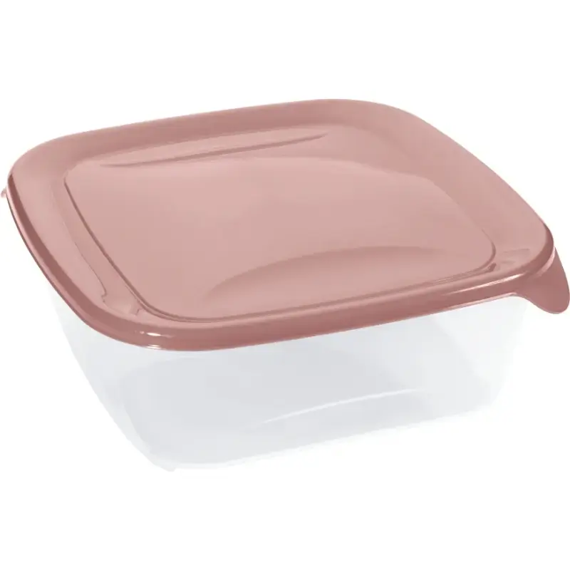 Ruudukujuline toidukarp 1,7L Fresh&Go roosa