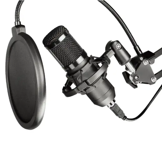 Condenser Microphone Art on a boom arm with membrane AC-03 black