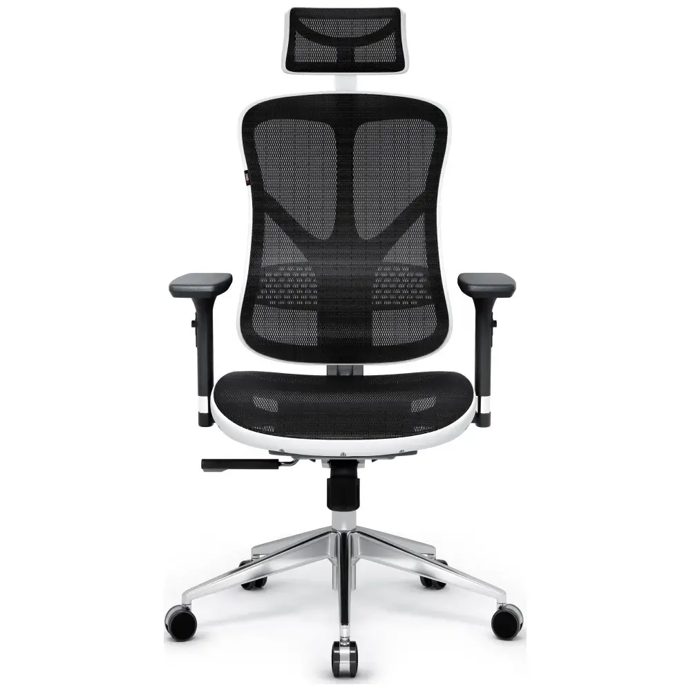 Ergonomic chair Diablo Chairs V-Basic white-black
