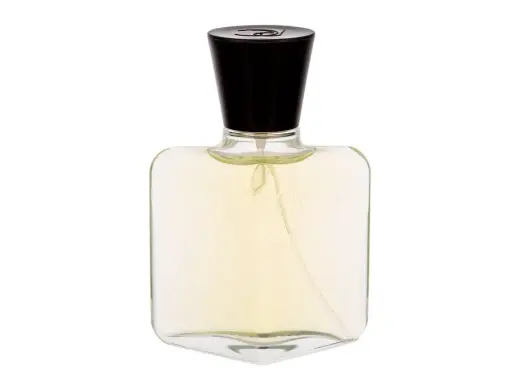 Roberto Capucci Capucci Pour Homme Eau de Toilette 100 ml