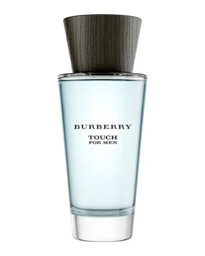 Burberry, Touch, Eau De Toilette, For Men, 100 ml *Tester