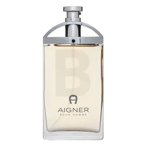 Aigner Pour Homme Туалетная вода для мужчин 100 мл