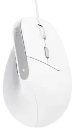 Datorpele Trust Bayo II White