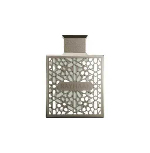 Rayhaan Terra (EDP) parfimērijas ūdens vīriešiem 100 ml