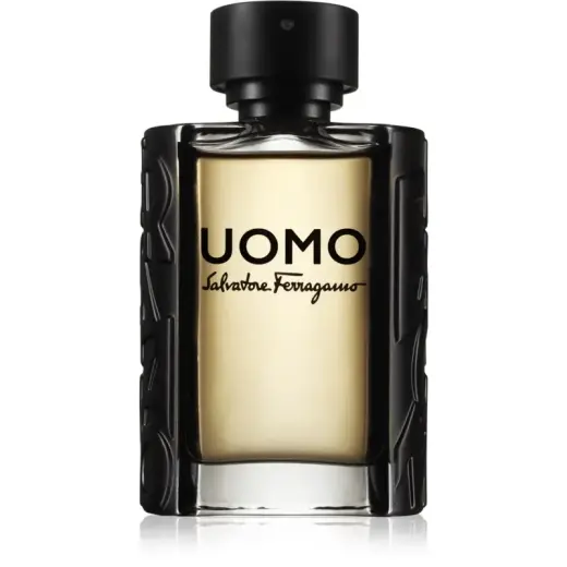 Salvatore Ferragamo Uomo (EDT) tualettvesi meestele 100 ml