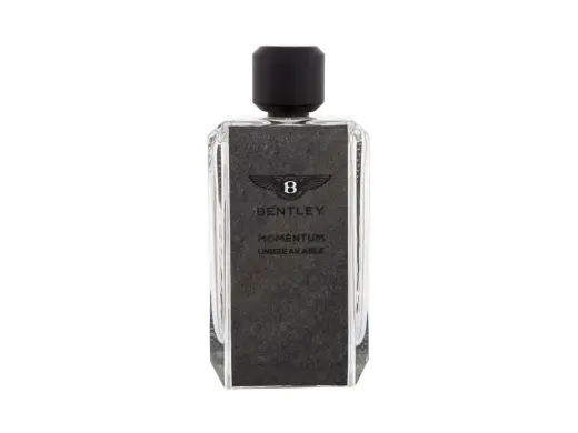 Bentley Momentum Unbreakable Eau de Parfum 100 ml