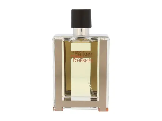Hermes Terre d'Hermes Eau de Toilette 100 ml