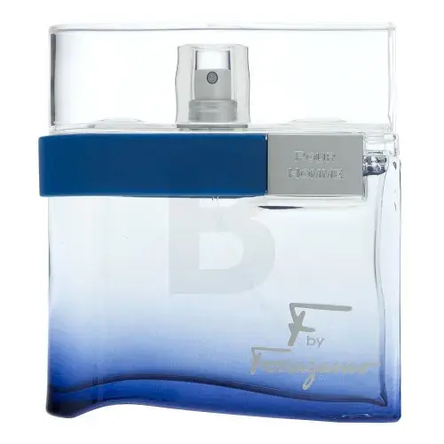 Salvatore Ferragamo F by Ferragamo Free Time (EDT) туалетная вода для мужчин 100 мл