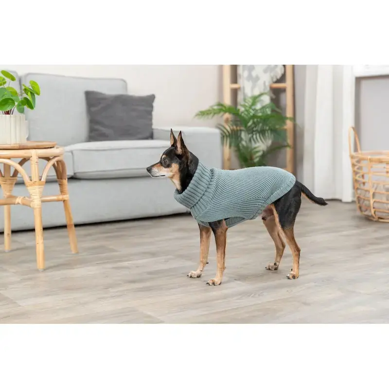 Apģērbs suņiem – Trixie CityStyle Berlin pullover, XS: 24 cm