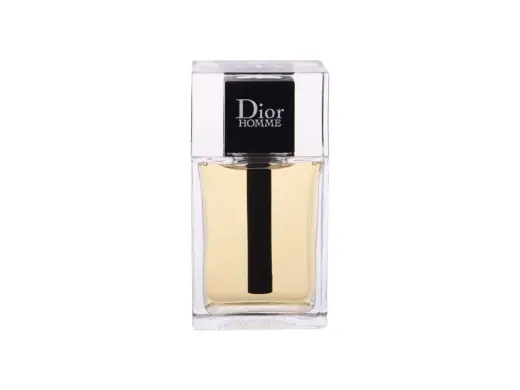 Dior Dior Homme 2020 Eau de Toilette 100 ml