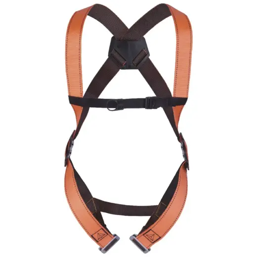 Safety system 1 loop rear