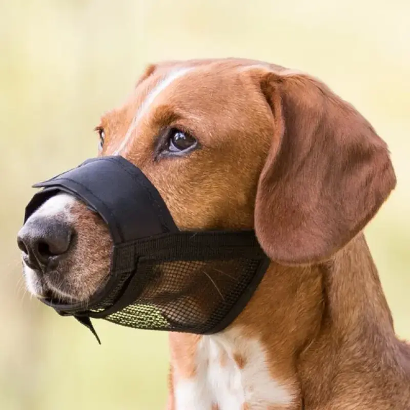 Uzpurnis suņiem - Trixie Muzzle, Nylon. Size XS-S, Snoup strap 15-20 cm, Neck Starp 3.7 cm