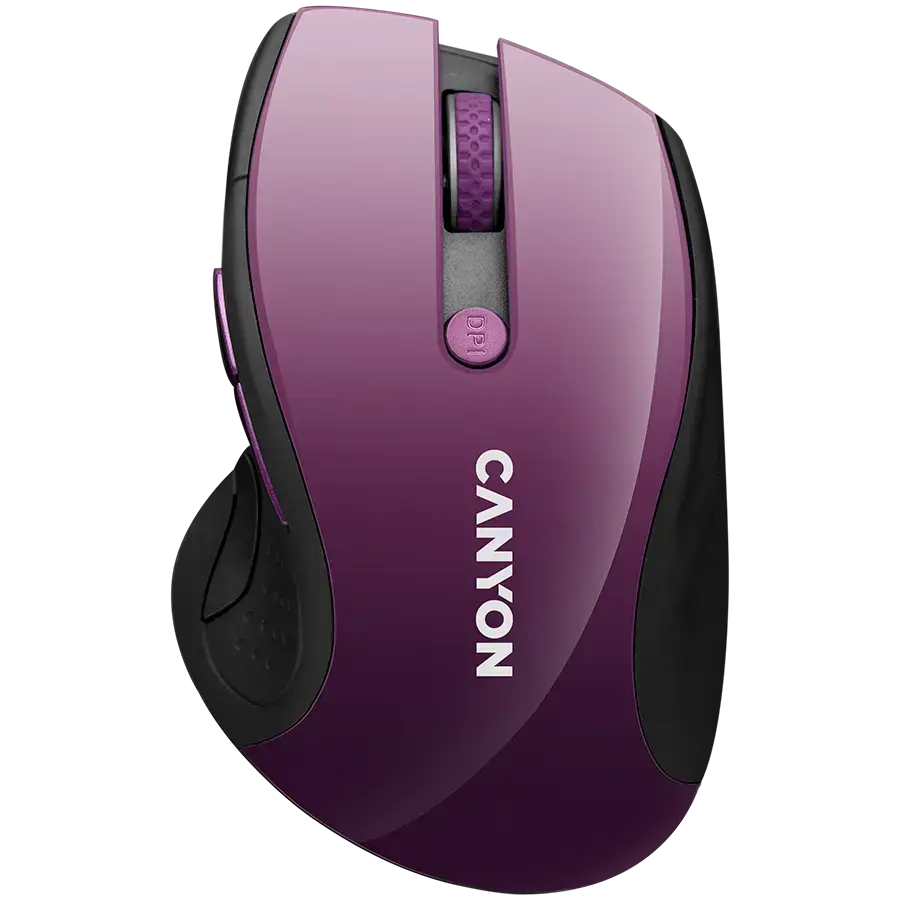CNS-CMSW01P
