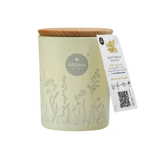 Aroma Home, Daisy Dream, Scented Candle, 150 g