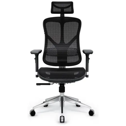 Ergonomic chair Diablo Chairs V-Basic black