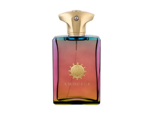 Amouage Imitation For Men Eau de Parfum 100 ml
