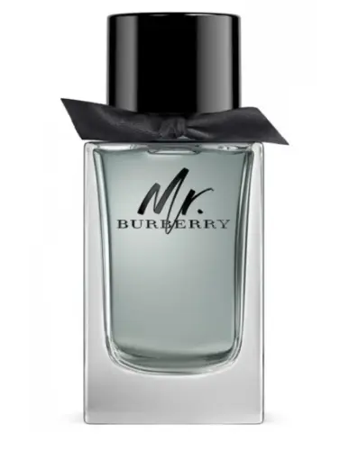 Burberry, Mr. Burberry, Eau De Toilette, For Men, 100 ml *Tester