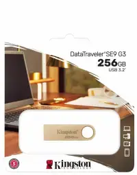 Zibatmiņa Kingston DataTraveler SE9 G3 256GB Metal