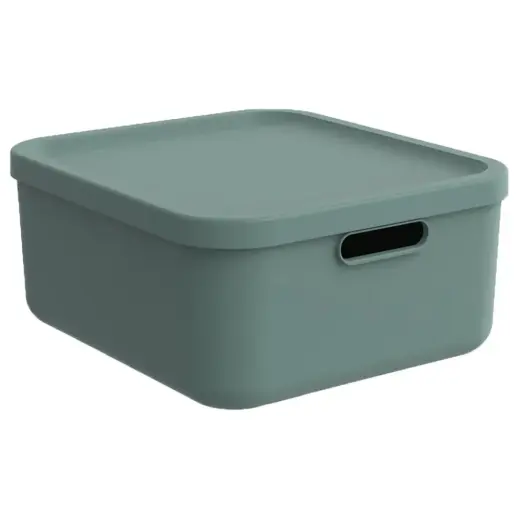 Storage box Albula 20L with lid, green