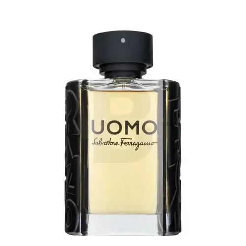 Salvatore Ferragamo Uomo Eau de Toilette vīriešiem 100 ml