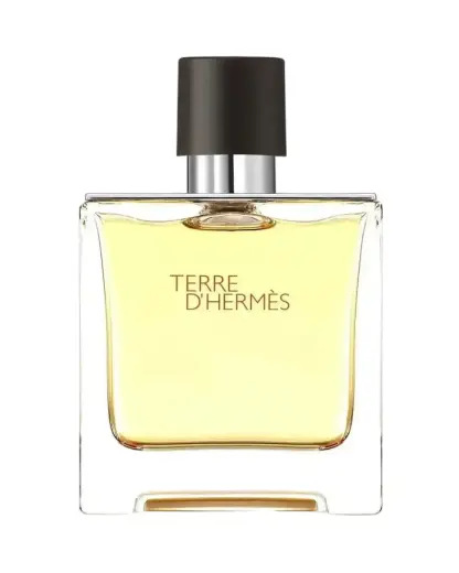 Hermes, Terre d'Hermes, Eau De Parfum, For Men, 75 ml *Tester