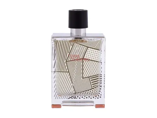 Hermes Terre d'Hermes Limited Edition Flacon H Eau de Toilette 100 ml
