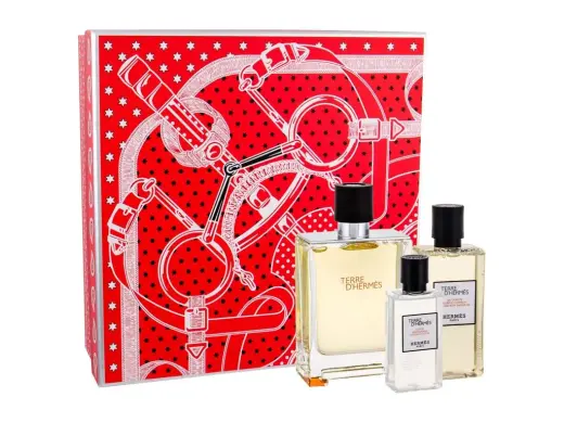 Hermes Terre d'Hermes Eau de Toilette 100 ml