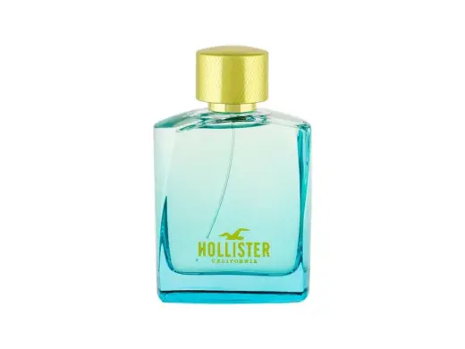 Hollister Wave 2 Eau de Toilette 100 ml