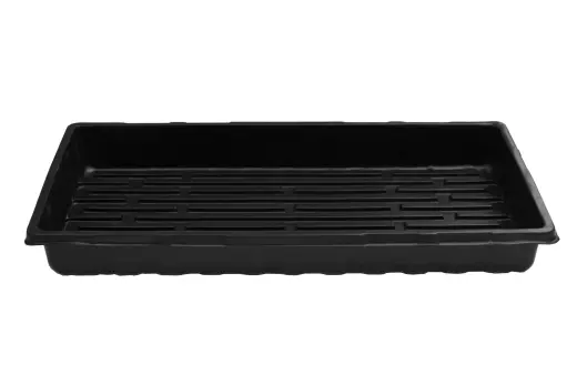 Seedling box 55x28.5x6cm
