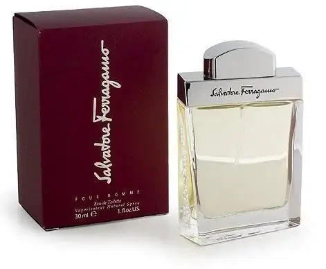 Ferragamo Pour Homme Eau de Toilette 100 ml